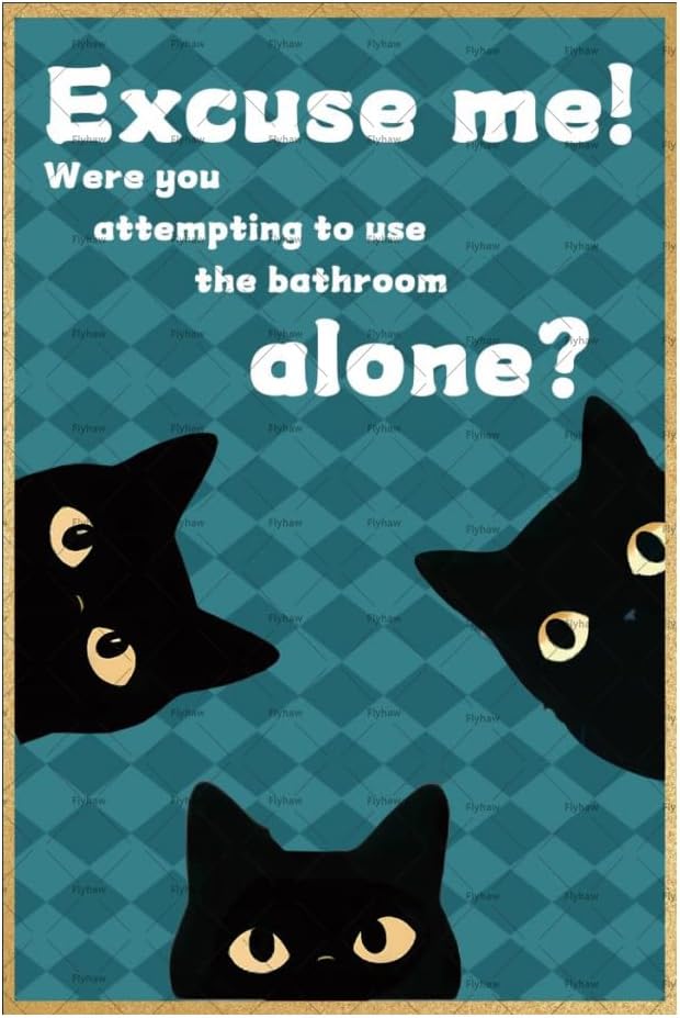 ما إنني أتمنى أن أطلب التذرية، - مراجعة Home Alone Bathroom وسعره